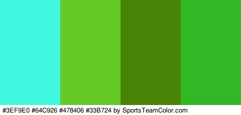 #3EF9E0 #64C926 #478406 #33B724 Colors