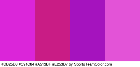 #DB25D8 #C91C84 #A513BF #E253D7 Colors