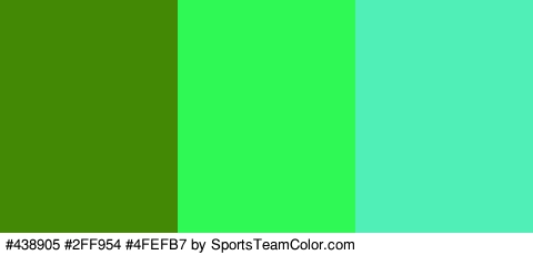 #438905 #2FF954 #4FEFB7 Colors