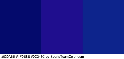 #030A6B #1F0E8E #0C248C Colors