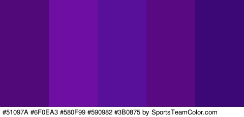 #51097A #6F0EA3 #580F99 #590982 #3B0875 Colors