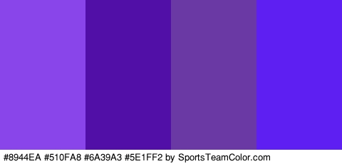 #8944EA #510FA8 #6A39A3 #5E1FF2 Colors