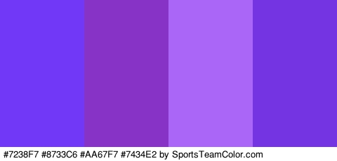 #7238F7 #8733C6 #AA67F7 #7434E2 Colors