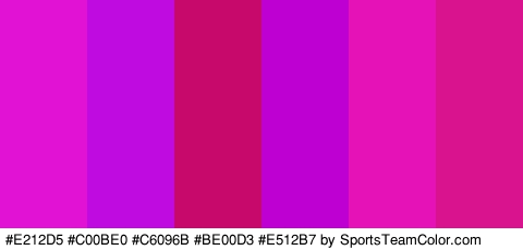 #E212D5 #C00BE0 #C6096B #BE00D3 #E512B7 #D8138D Colors