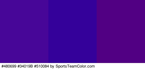 #480699 #34019B #510084 Colors