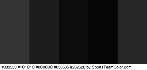 #333333 #1C1C1C #0C0C0C #050505 #262626 Colors