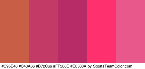 #C95E46 #C43A66 #B72C66 #FF306E #E8588A Colors