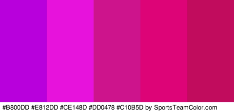 #B800DD #E812DD #CE148D #DD0478 #C10B5D Colors