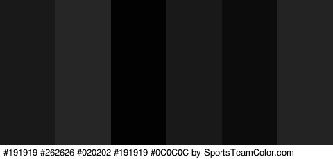 #191919 #262626 #020202 #191919 #0C0C0C #232323 Colors