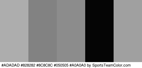 #ADADAD #828282 #8C8C8C #050505 #A0A0A0 Colors