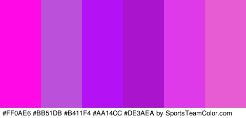 #FF0AE6 #BB51DB #B411F4 #AA14CC #DE3AEA #E85CD3 Colors