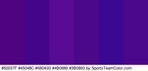 #50037F #45048C #580A93 #4B0889 #3B0893 #4B078C Colors