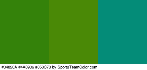 #34820A #4A8906 #058C78 Colors