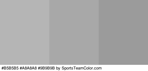 #B5B5B5 #A8A8A8 #9B9B9B Colors