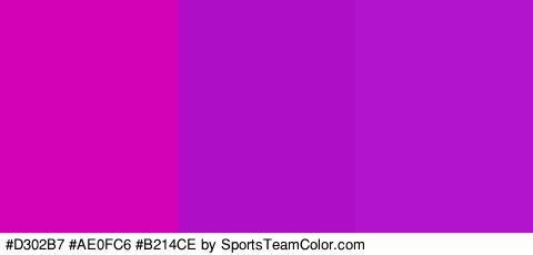 #D302B7 #AE0FC6 #B214CE Colors