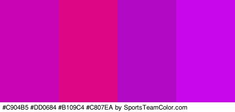 #C904B5 #DD0684 #B109C4 #C807EA Colors