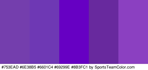 #753EAD #6E38B5 #6601C4 #69299E #8B3FC1 Colors