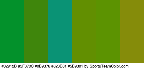 #02912B #3F870C #0B9376 #628E01 #5B9301 #858C09 Colors