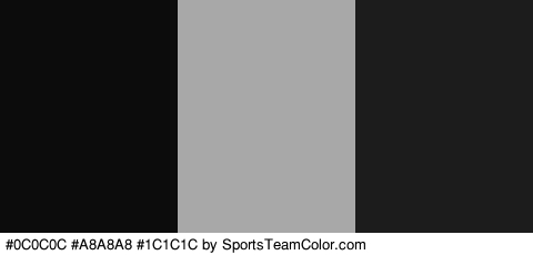 #0C0C0C #A8A8A8 #1C1C1C Colors