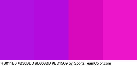 #B011E0 #B30BDD #D808BD #ED15C9 Colors