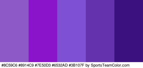 #8C59C6 #8914C9 #7E50D3 #6532AD #3B107F Colors