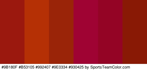 #9B180F #B53105 #992407 #9E0334 #930425 #891905 Colors