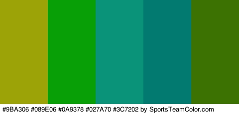 #9BA306 #089E06 #0A9378 #027A70 #3C7202 Colors