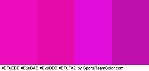 #EF0EBE #E50BAB #E20DDB #BF0FAD Colors