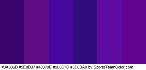 #3A036D #5E0D87 #48079E #300C7C #5D0BA0 #600491 Colors