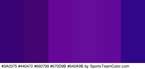 #3A0375 #440472 #660799 #670D9B #640A9B #320689 Colors