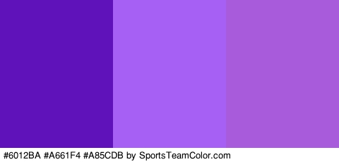 #6012BA #A661F4 #A85CDB Colors