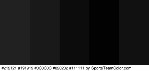 #212121 #191919 #0C0C0C #020202 #111111 Colors