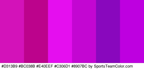 #D313B9 #BC038B #E40EEF #C306D1 #8907BC #BE00E0 Colors