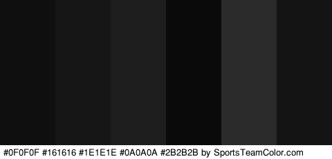 #0F0F0F #161616 #1E1E1E #0A0A0A #2B2B2B #141414 Colors