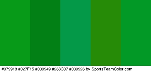 #079918 #027F15 #039949 #268C07 #039926 Colors