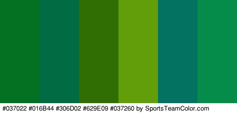 #037022 #016B44 #306D02 #629E09 #037260 #058C4B Colors