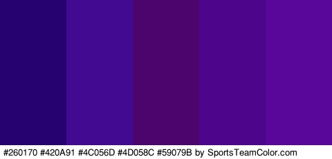 #260170 #420A91 #4C056D #4D058C #59079B Colors