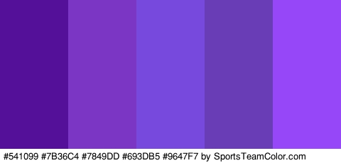 #541099 #7B36C4 #7849DD #693DB5 #9647F7 Colors