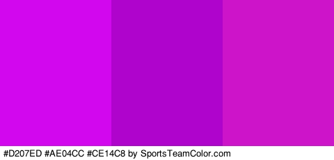 #D207ED #AE04CC #CE14C8 Colors