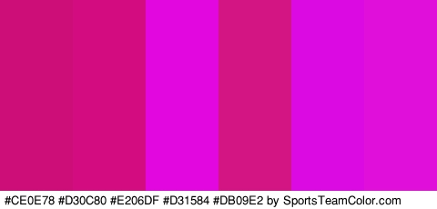 #CE0E78 #D30C80 #E206DF #D31584 #DB09E2 #E00FD9 Colors