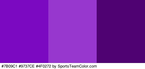 #7B09C1 #9737CE #4F0272 Colors