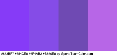 #863BF7 #854CE8 #6F4AB2 #B866E8 Colors