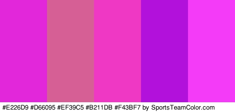 #E226D9 #D66095 #EF39C5 #B211DB #F43BF7 Colors