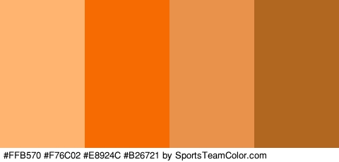 #FFB570 #F76C02 #E8924C #B26721 Colors