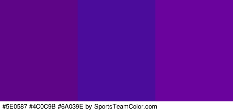 #5E0587 #4C0C9B #6A039E Colors