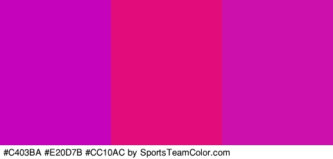 #C403BA #E20D7B #CC10AC Colors