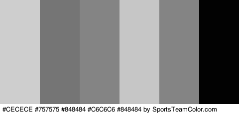 #CECECE #757575 #848484 #C6C6C6 #848484 #020202 Colors