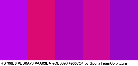 #B706E8 #DB0A73 #AA03BA #CE0896 #9807C4 Colors