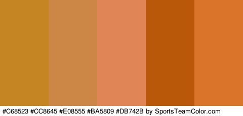 #C68523 #CC8645 #E08555 #BA5809 #DB742B Colors