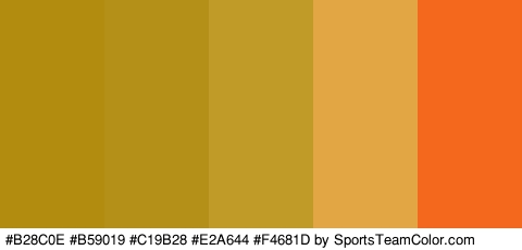 #B28C0E #B59019 #C19B28 #E2A644 #F4681D Colors